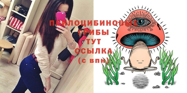 синтетический гашиш Краснослободск